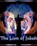 pic for Religion Lion of Judah
